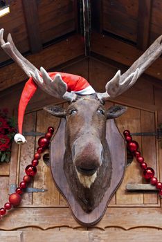 Elk in Santa cap at Christmas market