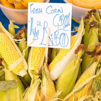 Fresh corn on sale at a UK market