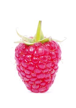 fresh raspberry closeup isolated on white background