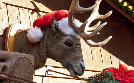 Elk in Santa cap at Christmas market