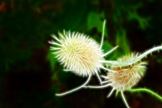 Green vegetative background without focus objects on black