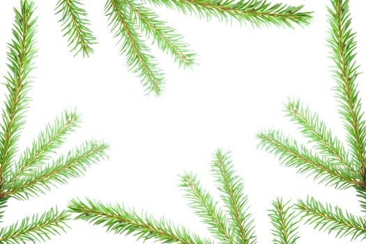 fir tree branches, christmas decoration.white background