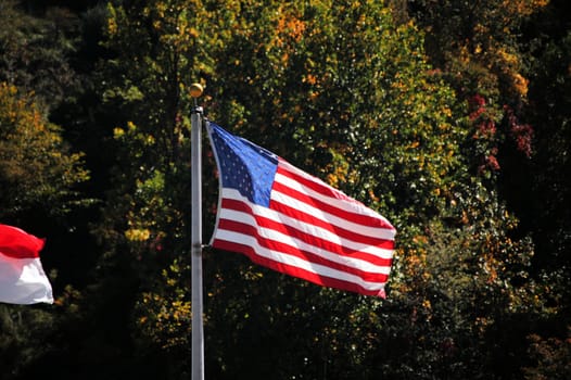 US flag in the breeze