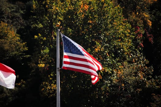 US flag blowing in the wind