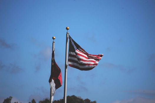 North Carolina and US Flag in the breeze
