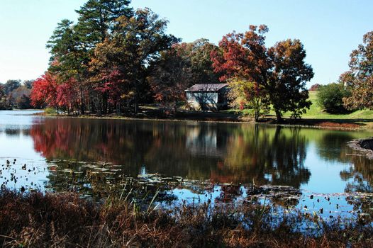 Reflection on the water during the fall of the year