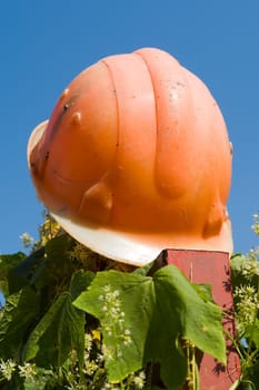 Orange building helmet with blue sky at background