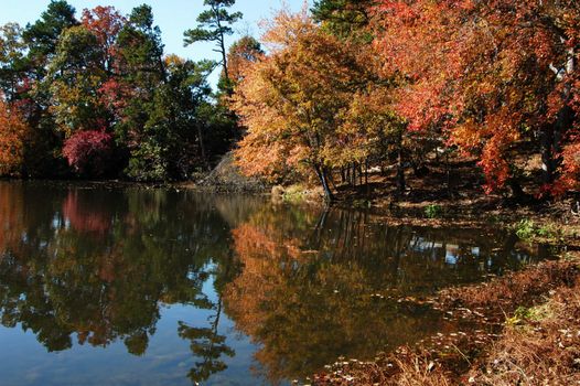 A reflection of trees on the water during the fall of the year