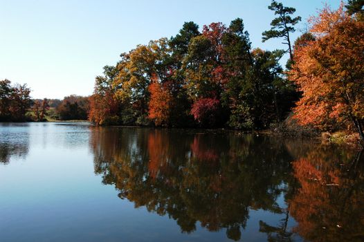 a lake scene during the fall of the year