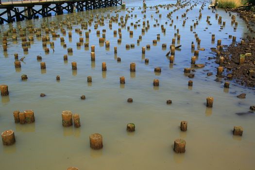Big old pier on a sunny day.
