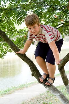 smiling little boy on a tree in park