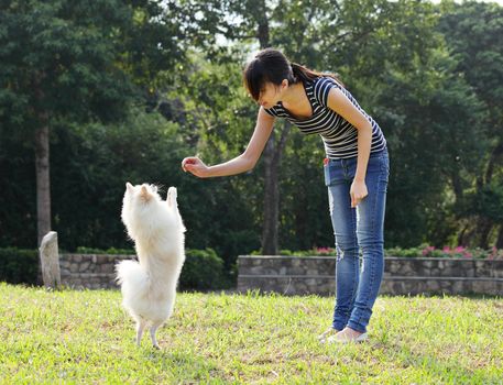 woman train her dog