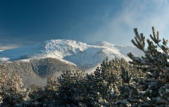 mountain summit view through tree winter landscape snow seasonal