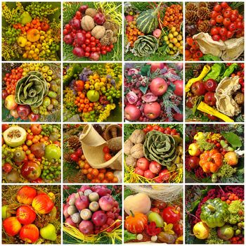 collage with vegetable autumnal compositions