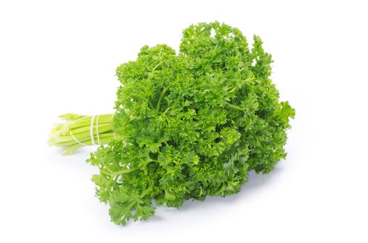 Bunch of fresh green parsley isolated on white background