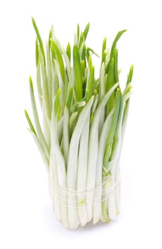 ramson bunch vegetable isolated on white background