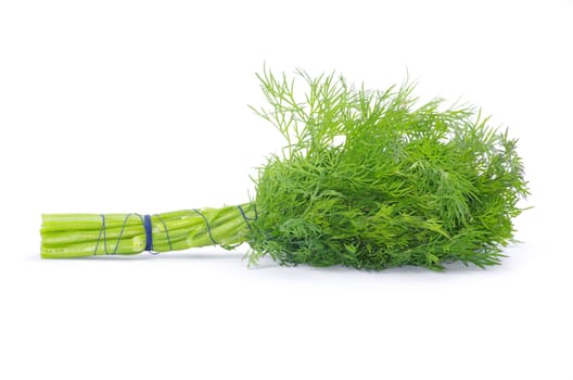 dill on a white background