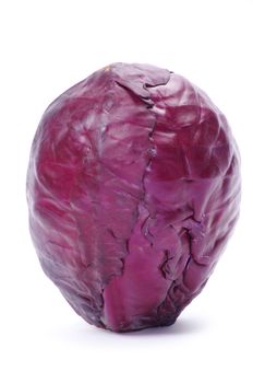 A head of purple cabbage