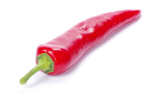 red hot chili pepper on white