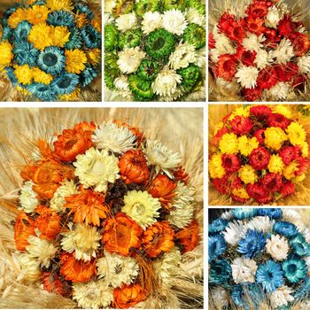 collage with dry flowers bouquets