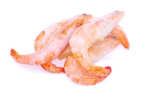 shrimp isolated on a white background