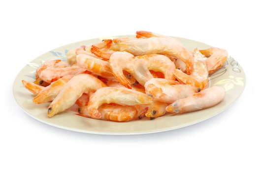 shrimp isolated on a white background