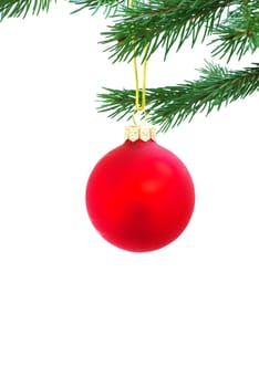 Christmas ball isolated on the white background