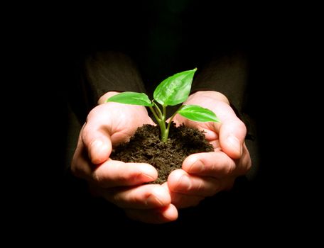 Hands holding sapling in soil on black