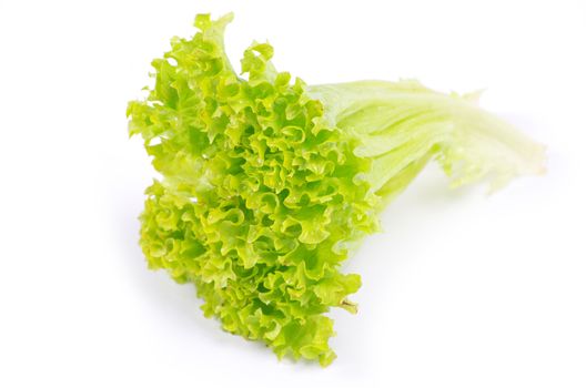 fresh green salad on white background