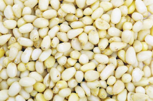 Close up of a background pine nuts