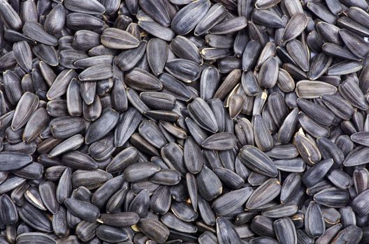 Sunflower seeds for backgrounds or textures