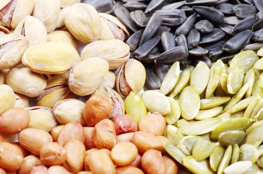  seeds and nuts with collection