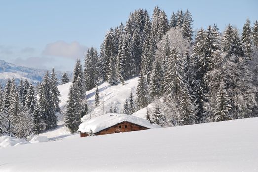 Snow covered house in austrian winter landscape