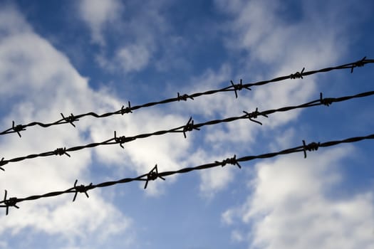 Barbed wire towards blue sky