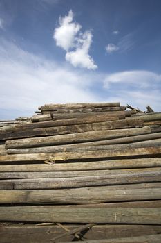 Large group of Timber towards blue sky