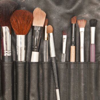 Selection of make up brushes in a leather holder