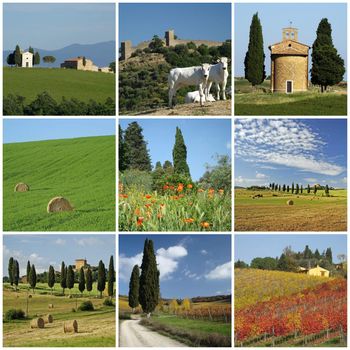 idyllic tuscan landscape collage