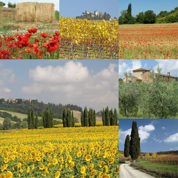 collage with beautiful tuscan countryside, Italy,Europe