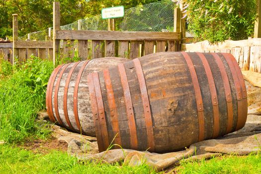 Two wooden barrels lying on the grass on a sunny day