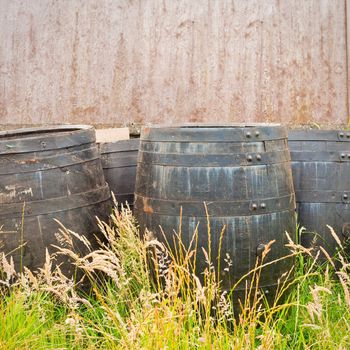 Group of whiskey barrels  against a stone wall