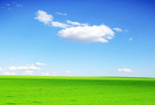 field on a background of the blue sky