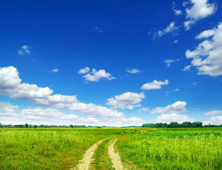field on a background of the blue sky