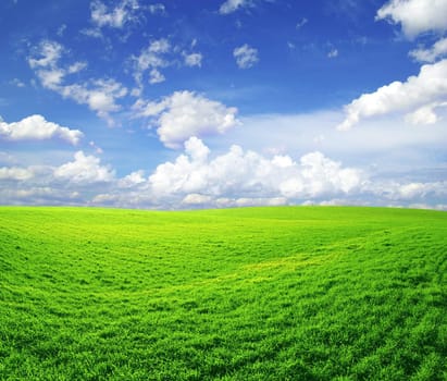 field on a background of the blue sky