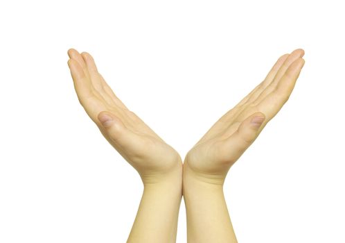 hands isolated on a white background