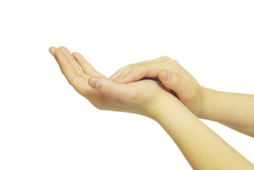 woman hands isolated on white background