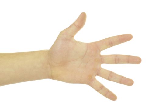 hand gestures isolated on a white 