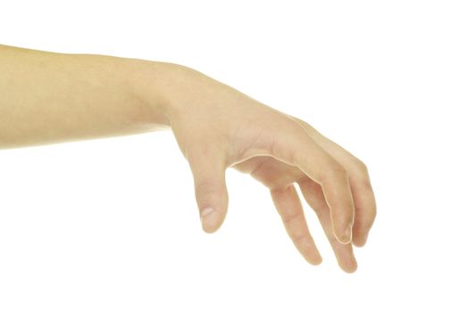 hand isolated on a white background