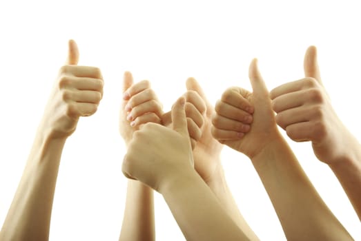 Many hand lifted up on white background
