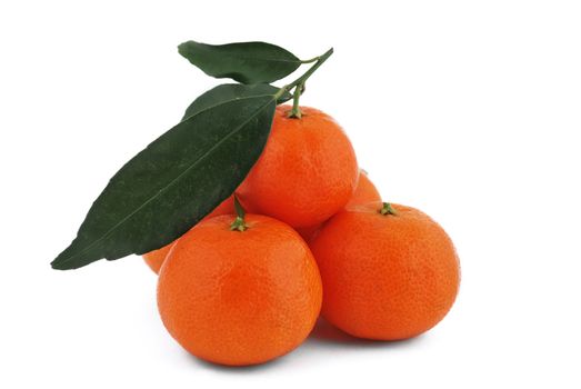 tangerines with leaves on white background