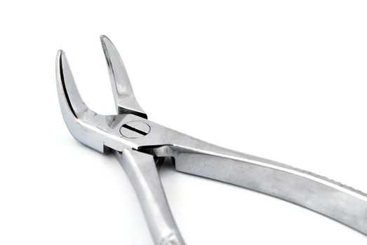 dental pliers on a white background